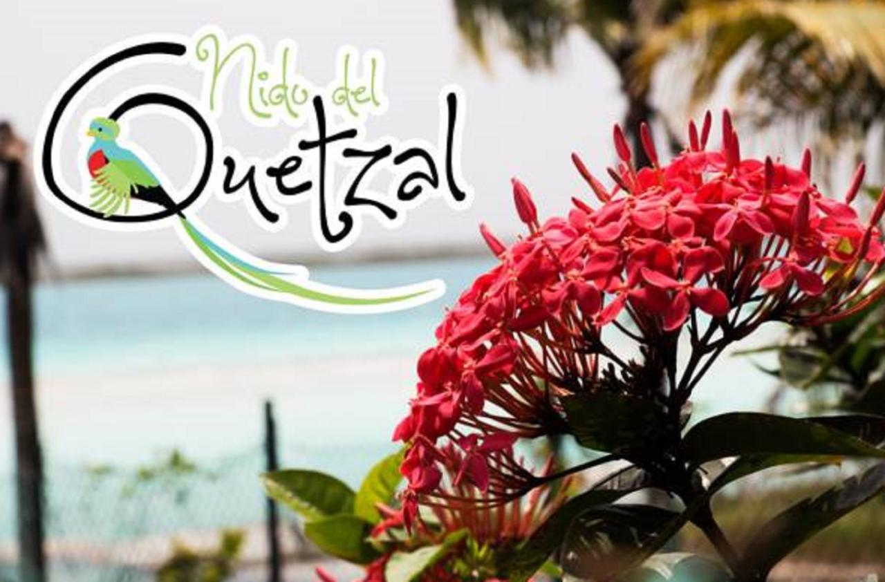 Hotel Nido Del Quetzal Bacalar Exteriér fotografie